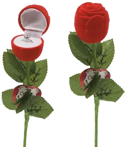 Cadou de Valentine`s Day : Trandafirul dragostei