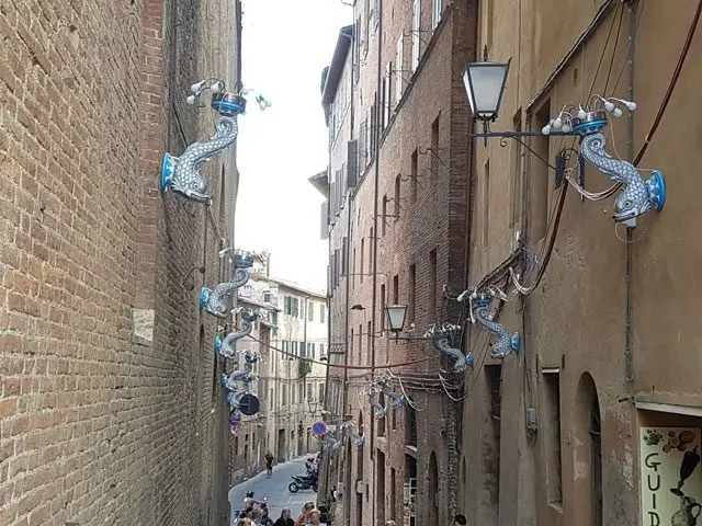 Ghid Turistic Italia Emotional Siena